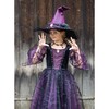 Amethyst the Spider Witch Hat - Costume Accessories - 3