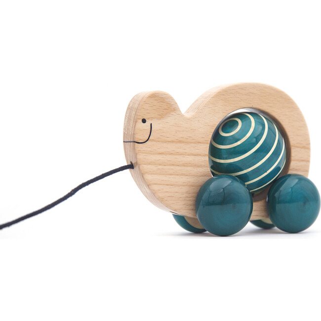 Spinning Snail - Adult