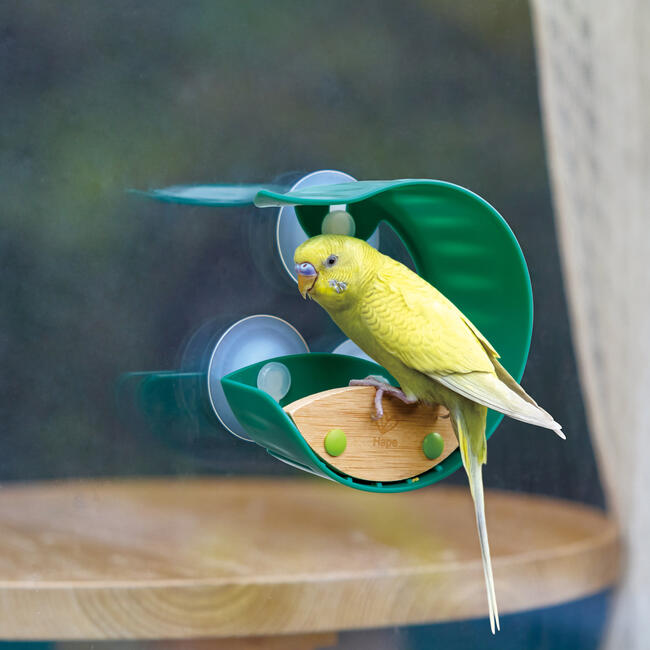 Nature Fun - Window Bird Feeder, Kids Ages 4+ - STEM Toys - 2