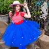 Women's Strawberry Shortcake Premium Berry Tulle Skirt, Blue - Costumes - 1 - thumbnail