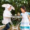 Premium Alice Dress Up - Costumes - 3