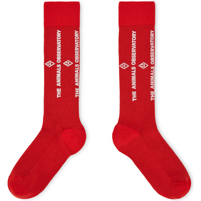 Worm Socks, Red