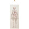 Human Anatomy Wall Hanging Artwork, Dark - Wall Décor - 1 - thumbnail