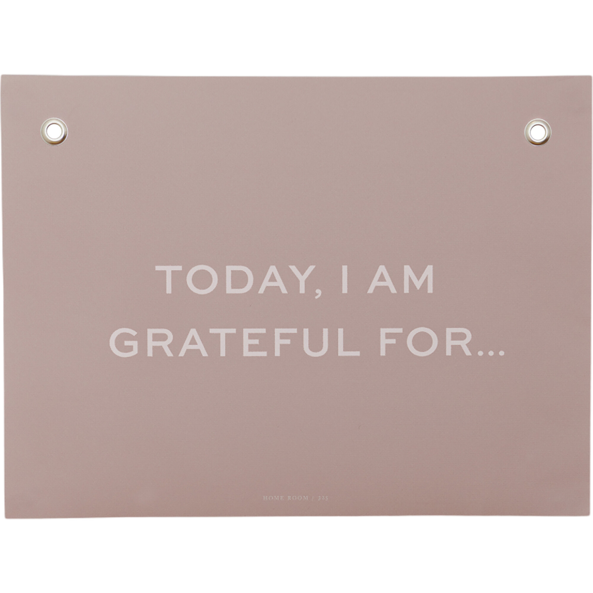 Life Lesson: Attitude of Gratitude Affirmation Print, Blush - Wall Décor - 1