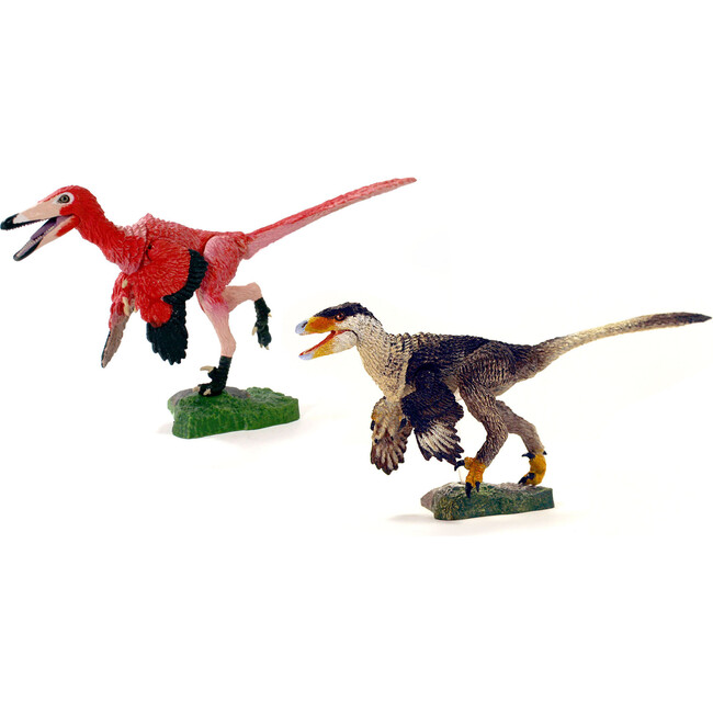 Beasts of the Mesozoic: Western Dinosaur 2-Pack - Buitreraptor g. & Young Stenonychosaurus i