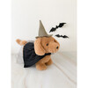 Magik Dashaund Witch - Plush - 2