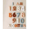 Milestone Felt Numbers in Neutral - Mixed Gift Sets - 3