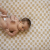 Cotton Print Muslin Standard-Size Crib Sheet, Adobe Checker - Crib Sheets - 3