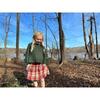 Jaycee Checked 3-Buttoned Pocket Mini Skater Skirt, Autumn Plaid - Skirts - 2