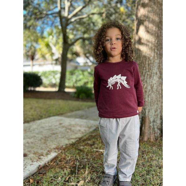 Cherokee Dino Skeleton Print Raglan Sleeve Tee, Burgundy - T-Shirts - 2