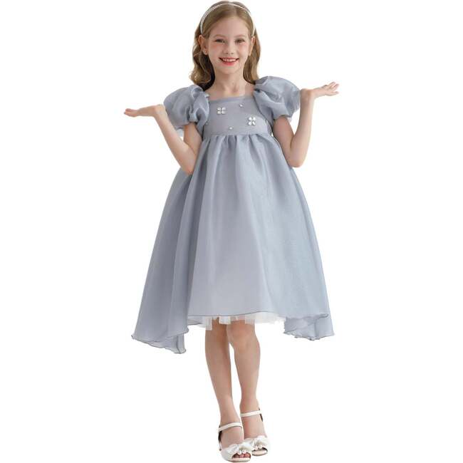 Janelle Applique Teacup Gown, Grey - Dresses - 2