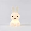 Miffy Bundle of Light Night Light - Lighting - 1 - thumbnail