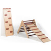 Red Oak Climbing Triangle with Ladder and Rock Wall, Starter Size - Activity Gyms - 2