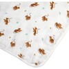 Blanket, Tiger - Blankets - 5