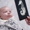 Ocean Art Cards - Developmental Toys - 3