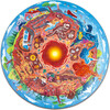 Hape: Underground World Puzzle - 36pcs, Circle Puzzle - Puzzles - 1 - thumbnail