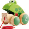 Hape: Pull Along Frog - Wooden Green Toy - Developmental Toys - 1 - thumbnail