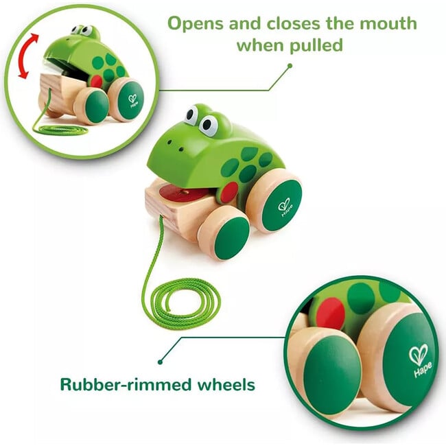 Hape: Pull Along Frog - Wooden Green Toy - Developmental Toys - 2