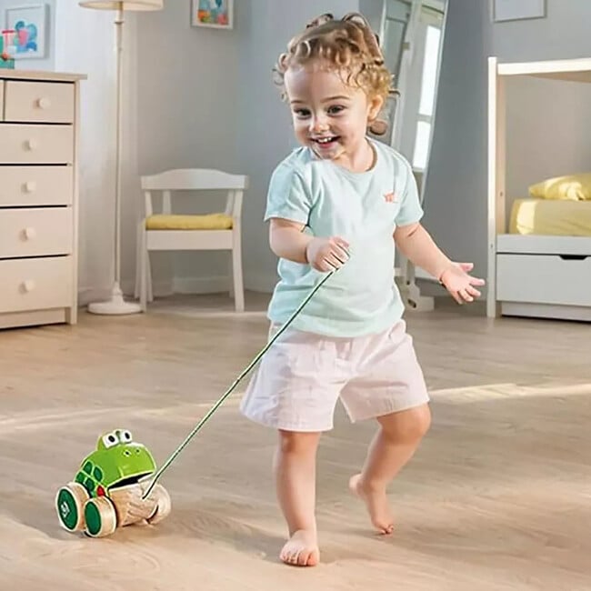 Hape: Pull Along Frog - Wooden Green Toy - Developmental Toys - 3