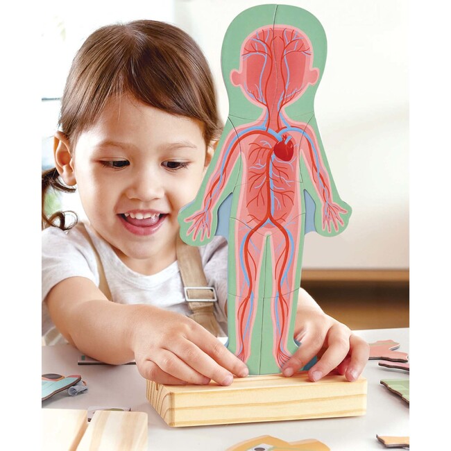 Hape: Human Body Magnetic Puzzle - 68pc - Puzzles - 4