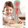 Hape: Human Body Magnetic Puzzle - 68pc - Puzzles - 4