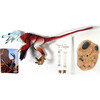 Beasts of the Mesozoic: Velociraptor Osmolskae - "Alpha" Dinosaur Action Figure - Playsets - 3
