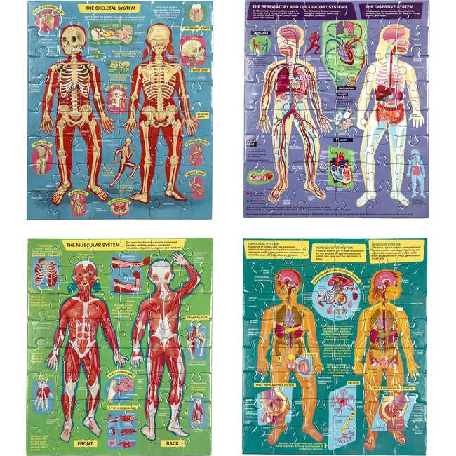 Human Anatomy 48pc Puzzle Set - Puzzles - 3