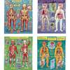 Human Anatomy 48pc Puzzle Set - Puzzles - 3