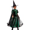 Wicked Witch Deluxe Kids Costume 1001613 - Costumes - 1 - thumbnail