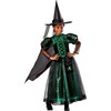 Wicked Witch Deluxe Kids Costume 1001613 - Costumes - 2