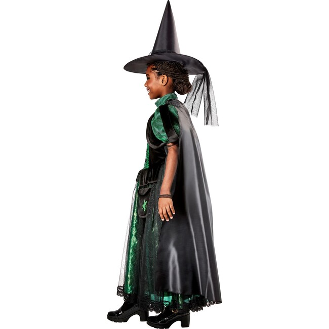 Wicked Witch Deluxe Kids Costume 1001613 - Costumes - 3