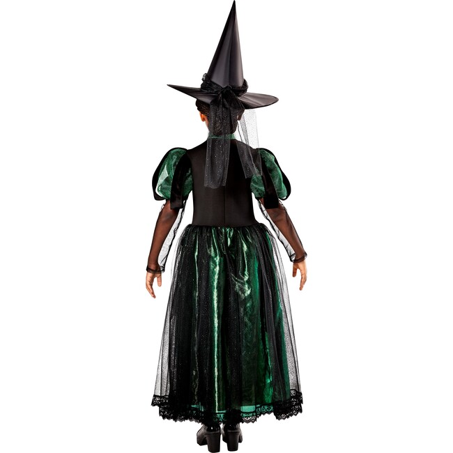 Wicked Witch Deluxe Kids Costume 1001613 - Costumes - 4