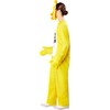 Chica Adult Costume 1001282 - Costumes - 4