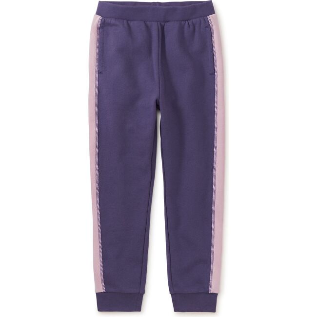 Colorblock Stripe-Out Elastic Waist Drawstring Pocket Joggers, Dusty Purple