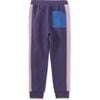 Colorblock Stripe-Out Elastic Waist Drawstring Pocket Joggers, Dusty Purple - Sweatpants - 2