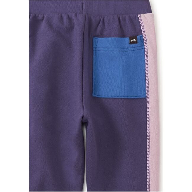 Colorblock Stripe-Out Elastic Waist Drawstring Pocket Joggers, Dusty Purple - Sweatpants - 3