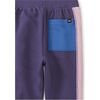 Colorblock Stripe-Out Elastic Waist Drawstring Pocket Joggers, Dusty Purple - Sweatpants - 3