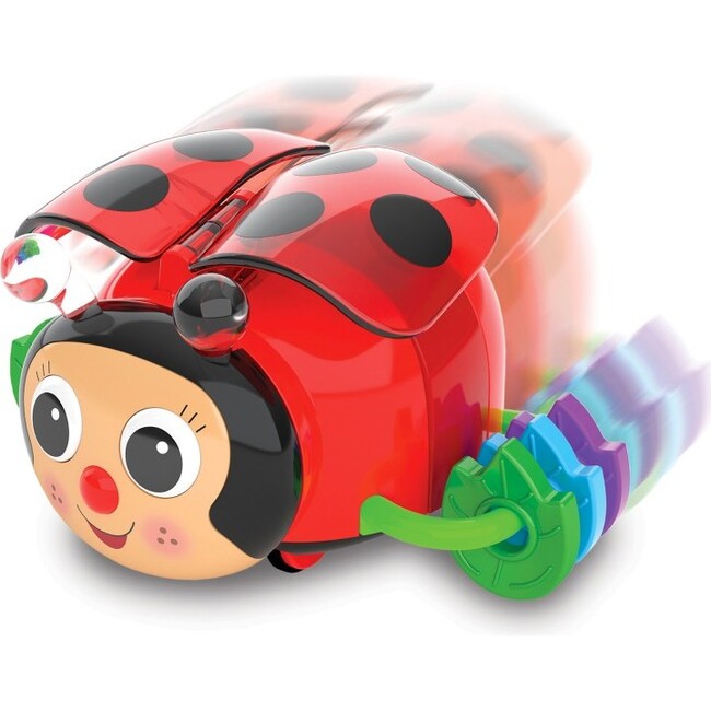 Learning Journey Crawl About Ladybug