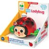 Learning Journey Crawl About Ladybug - Developmental Toys - 3