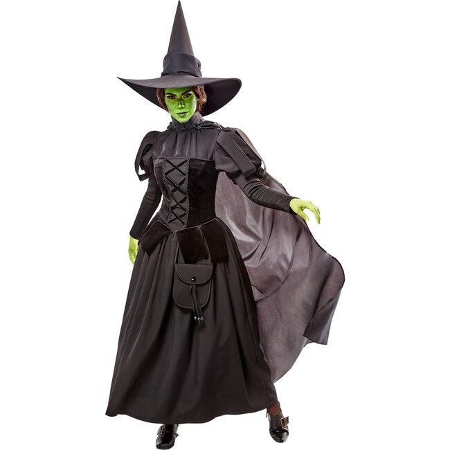 Wicked Witch Deluxe Adult Costume 1001181