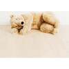 My Sleeping Lucien Bear - Honey Large - Plush - 1 - thumbnail