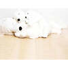 My Sleeping Lucien Bear - Cream Very Large - Plush - 2