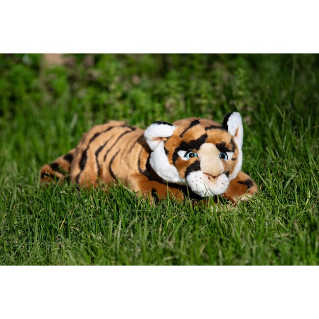 My Tiger César - Medium 55cm - Plush - 3