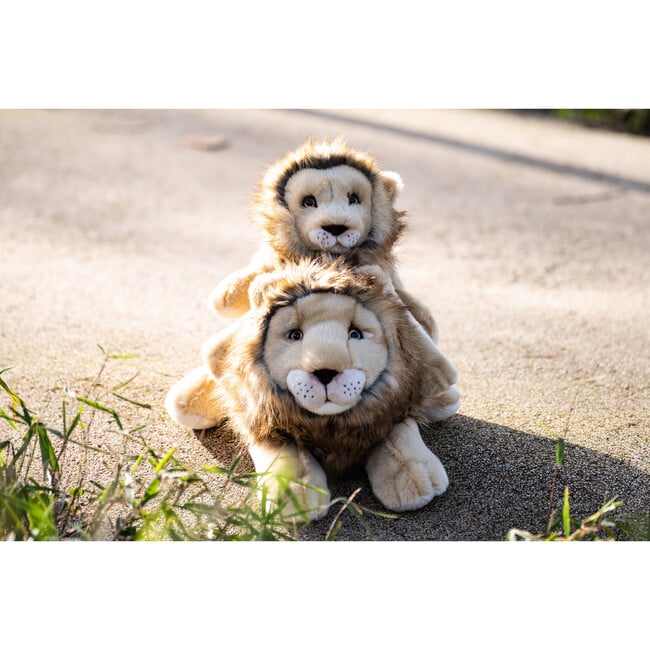 My Lion Melchior - Small 40cm - Plush - 2