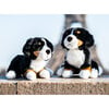 My Dog Ferdinand - Small Laying 28cm - Plush - 3