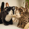 My Cat Gustave - Small 26cm - Tiger - Plush - 2