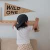 Wild One Pennant - Wall Décor - 2