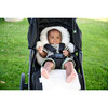 Organic Cotton Infant Insert - Stroller Accessories - 6