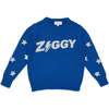 Ziggy Crew Neck Ribbed Hem Long Sleeve Knit Jumper, Cobalt - Sweaters - 1 - thumbnail