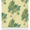 Maple Non-Woven Wallpaper, Verbena - Wallpaper - 1 - thumbnail